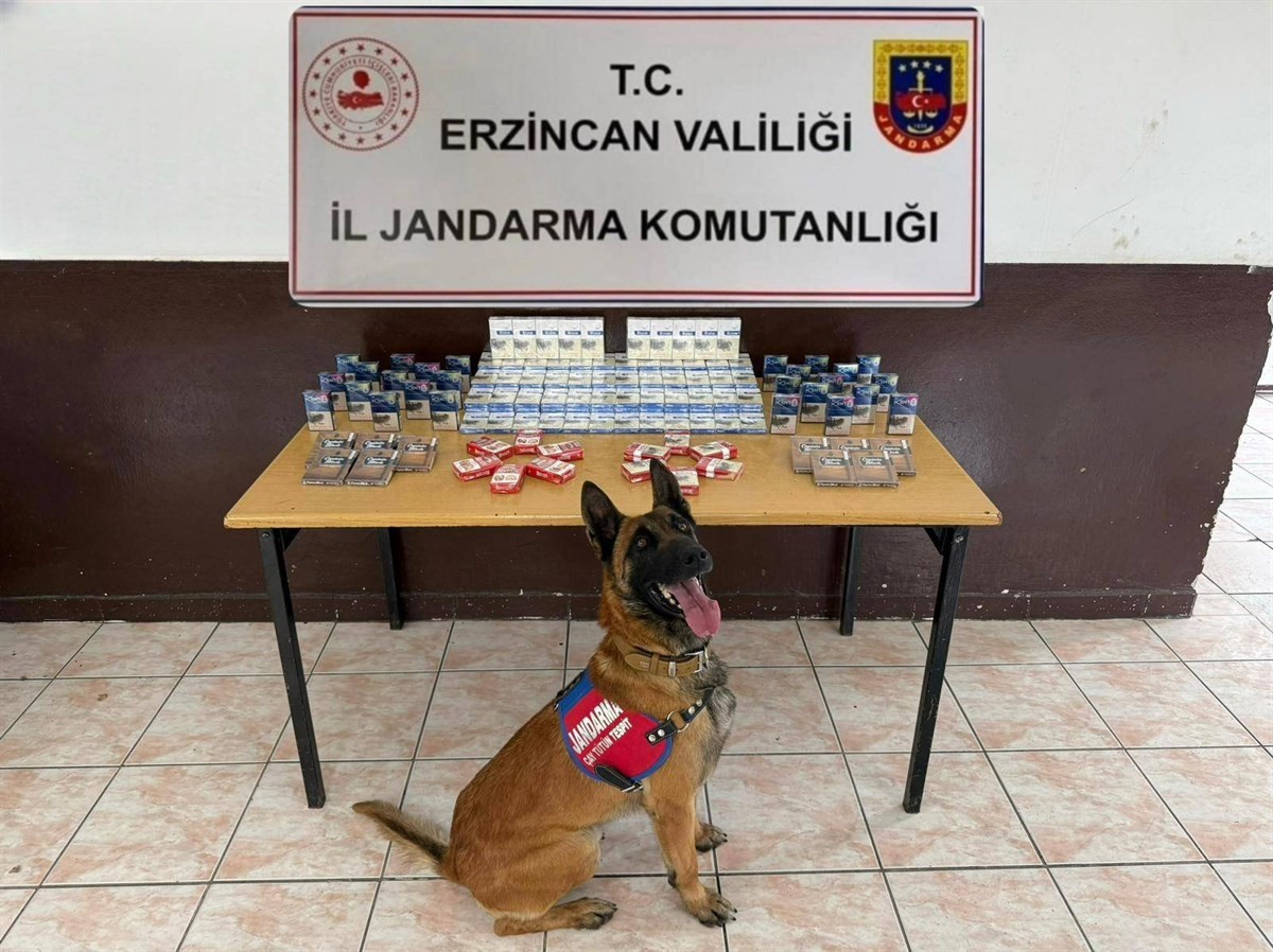 Erzincan jandarmasından Mart 2026 faaliyet raporu: 224 olayın yüzde 97’si aydınlatıldı
Erzincan jandarmasından Mart 2026 faaliyet raporu: 224 olayın yüzde 97’si aydınlatıldı