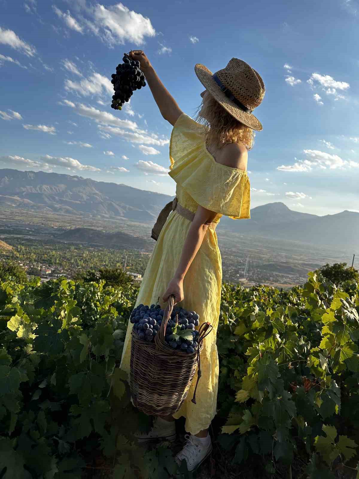 Erzincan Tulum Peyniri ve Cimin Üzümü dünya çapında tescillendi
Erzincan Tulum Peyniri ve Cimin Üzümü dünya çapında tescillendi