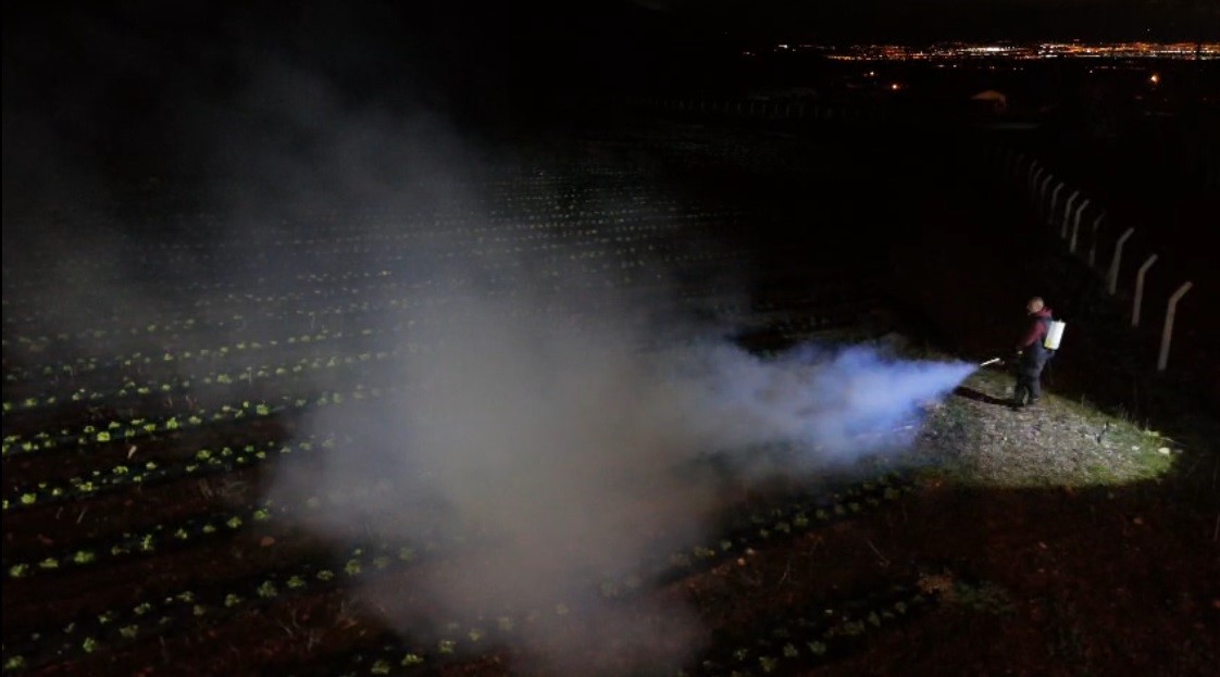 Erzincan’da 1450 rakımda don nöbeti: Üreticiler ürünlerini dumanla korudu
