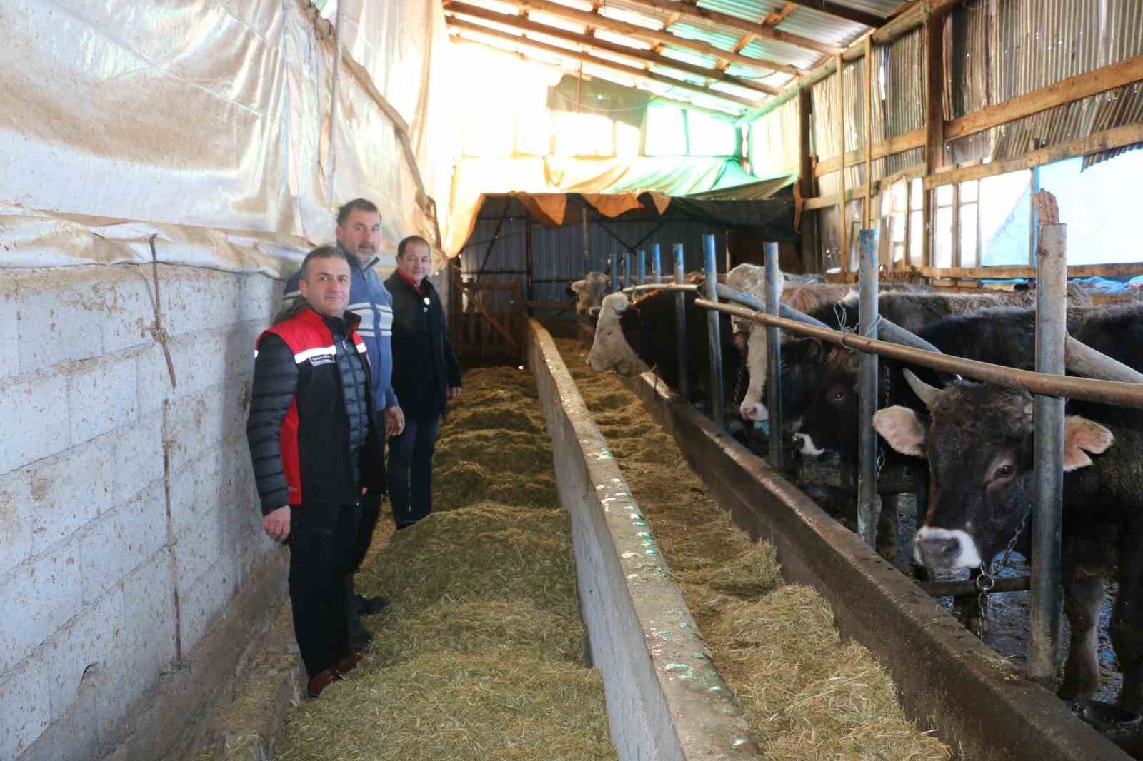 Erzincan’da aile hayvancılık işletmeleri ziyaret edildi
