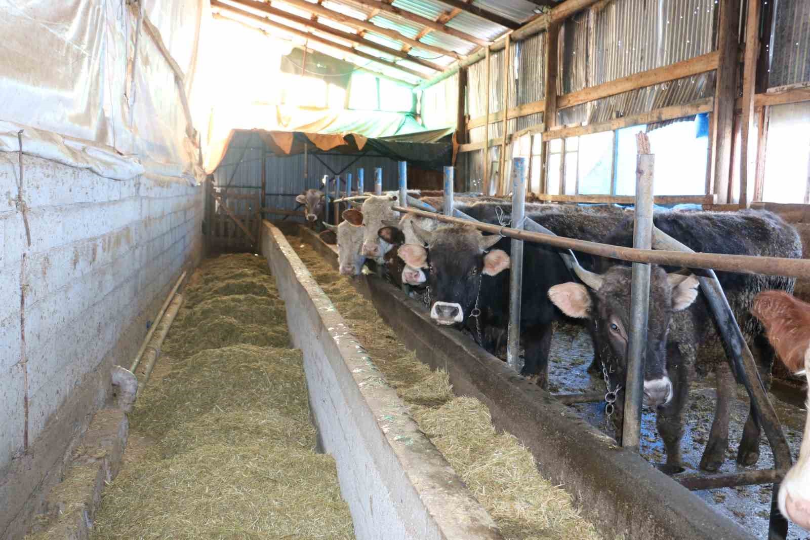 Erzincan’da aile hayvancılık işletmeleri ziyaret edildi
