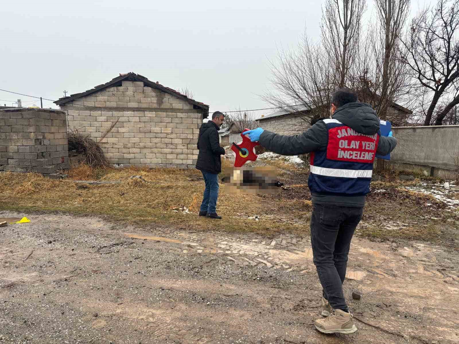 Erzincan’da at ve eşek silahla katledildi
