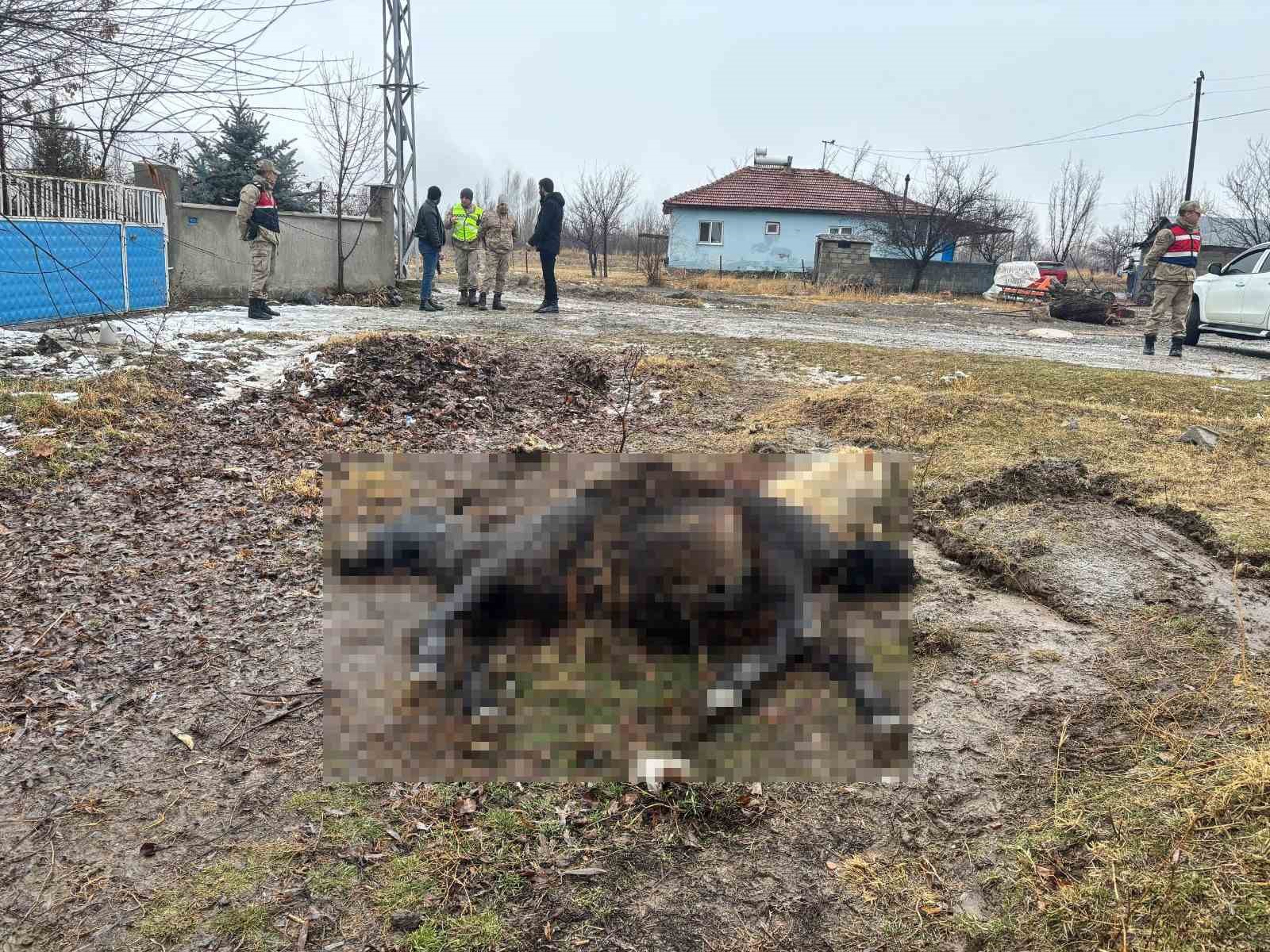 Erzincan’da at ve eşek silahla katledildi
