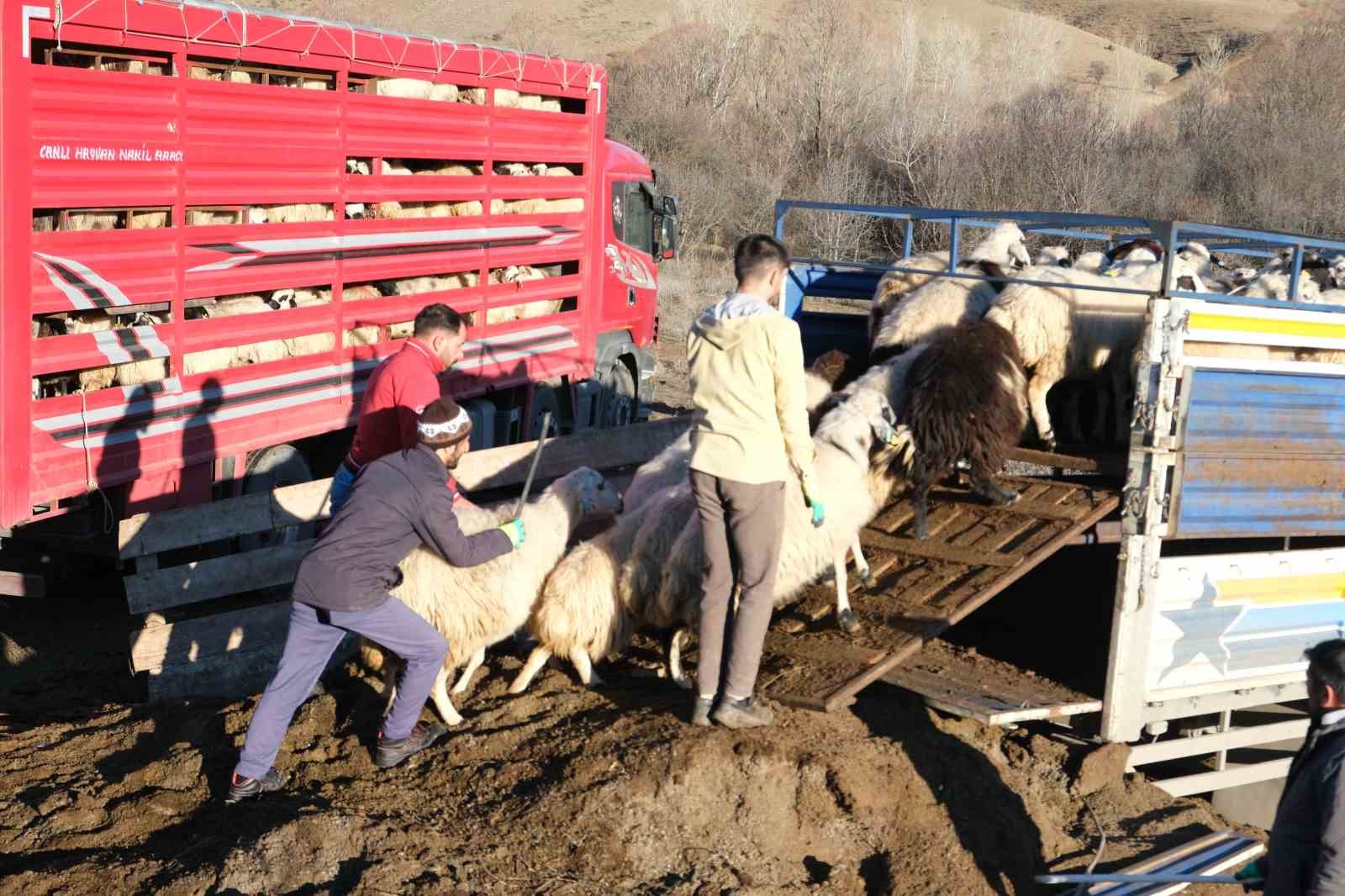 Erzincan’da besiciler 8 aylık göçe başladı
