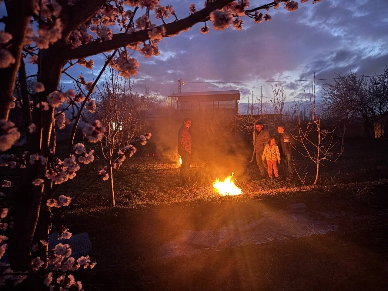 Erzincan’da çiftçiler don nöbetinde
Erzincan’da çiftçiler don nöbetinde