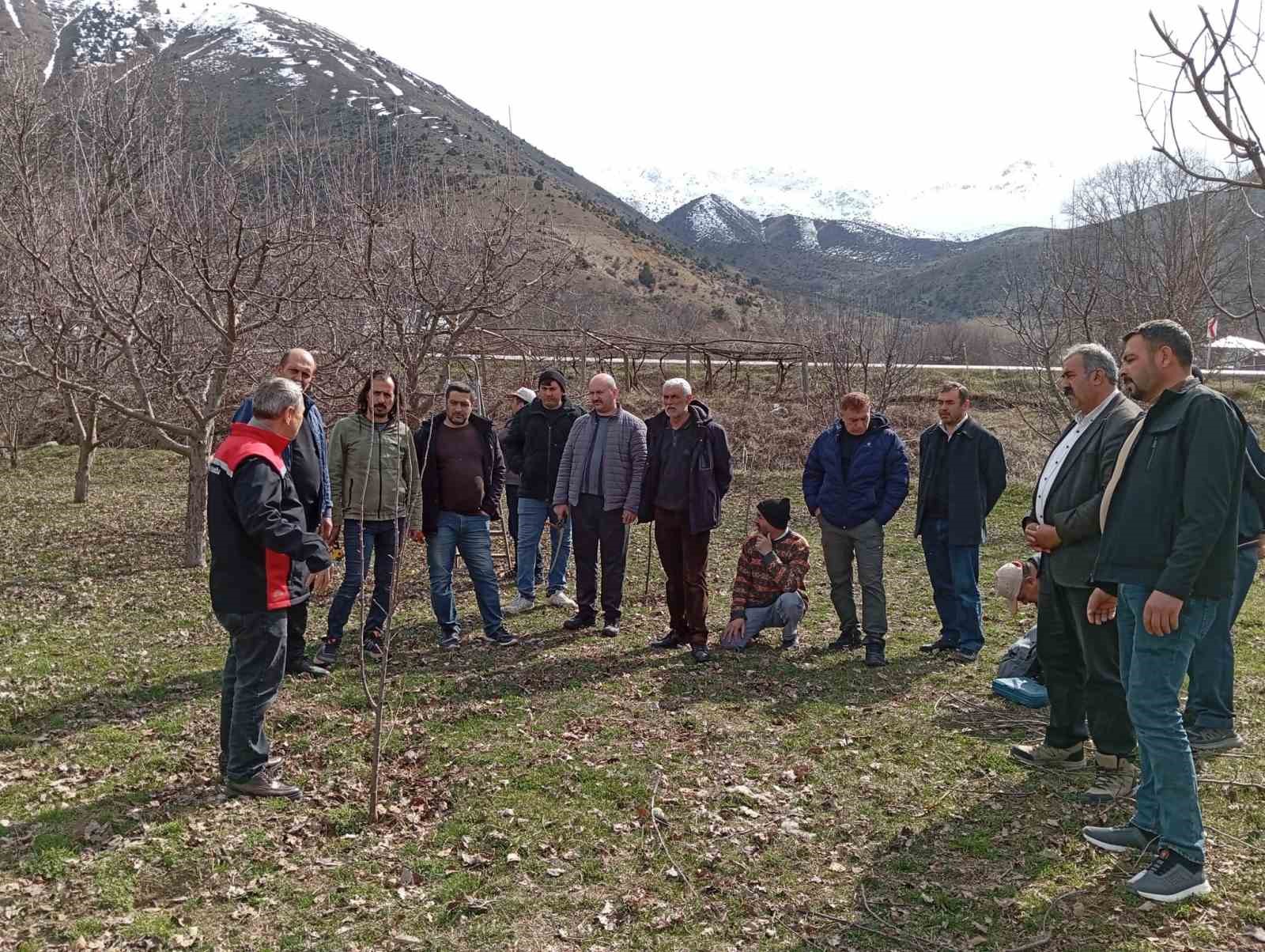 Erzincan’da çiftçilere budama eğitimi verildi
