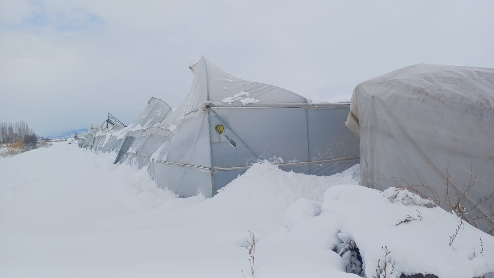 Erzincan’da çiftçilere kar ve tipi uyarısı
