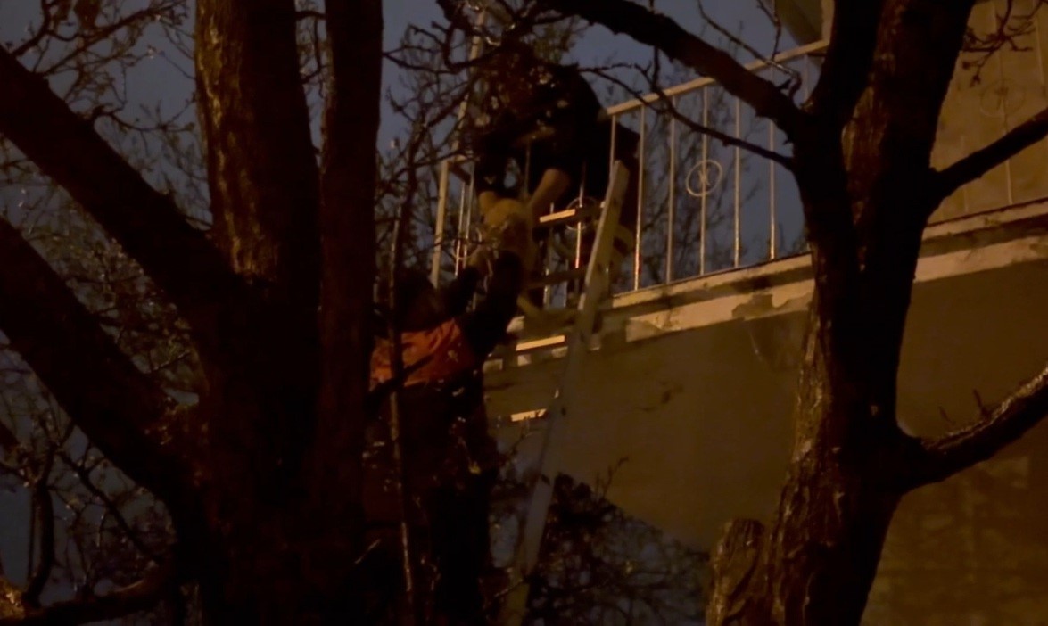 Erzincan’da mahsur kalan kedi itfaiye ekiplerince kurtarıldı
