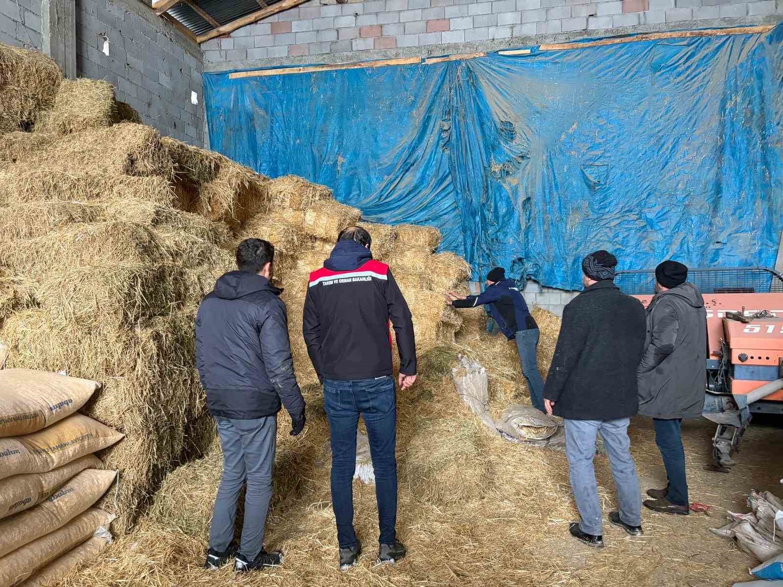 Erzincan’da yolda kalan 200 büyükbaş hayvana yem takviyesi
