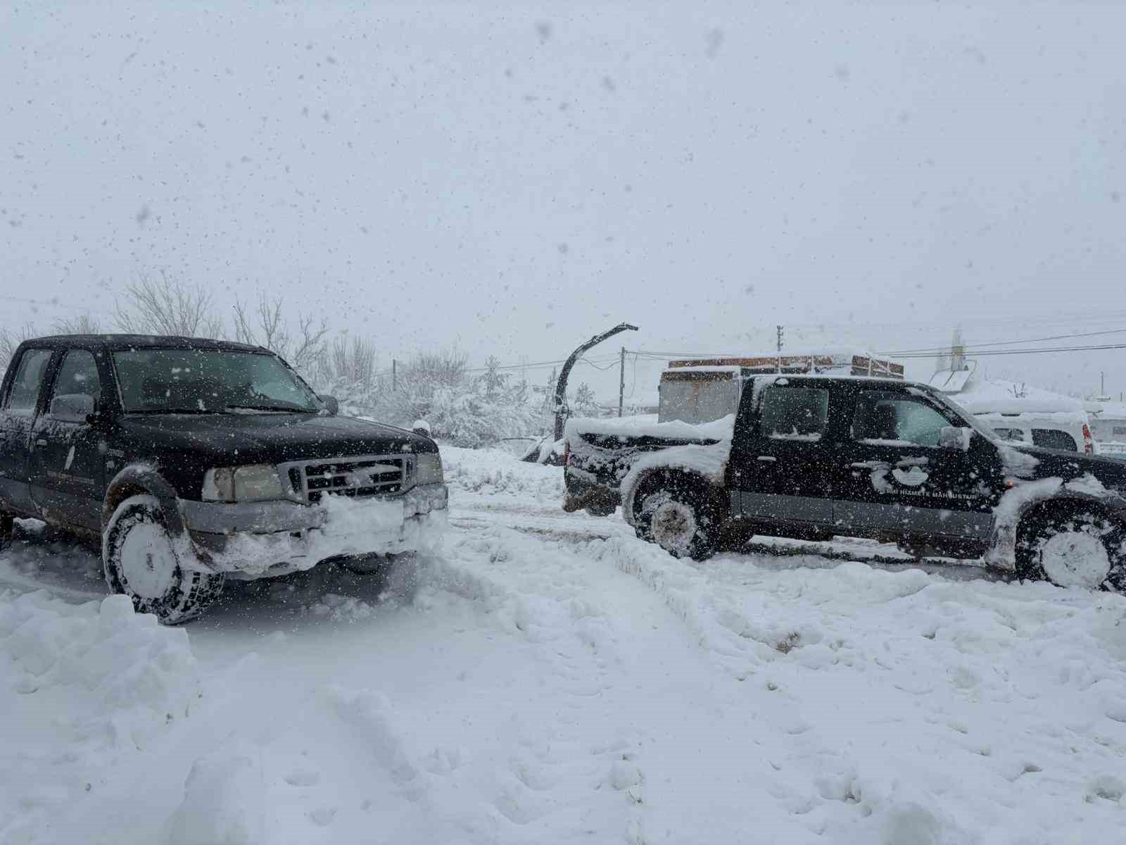 Erzincan’da yolda kalan 200 büyükbaş hayvana yem takviyesi
