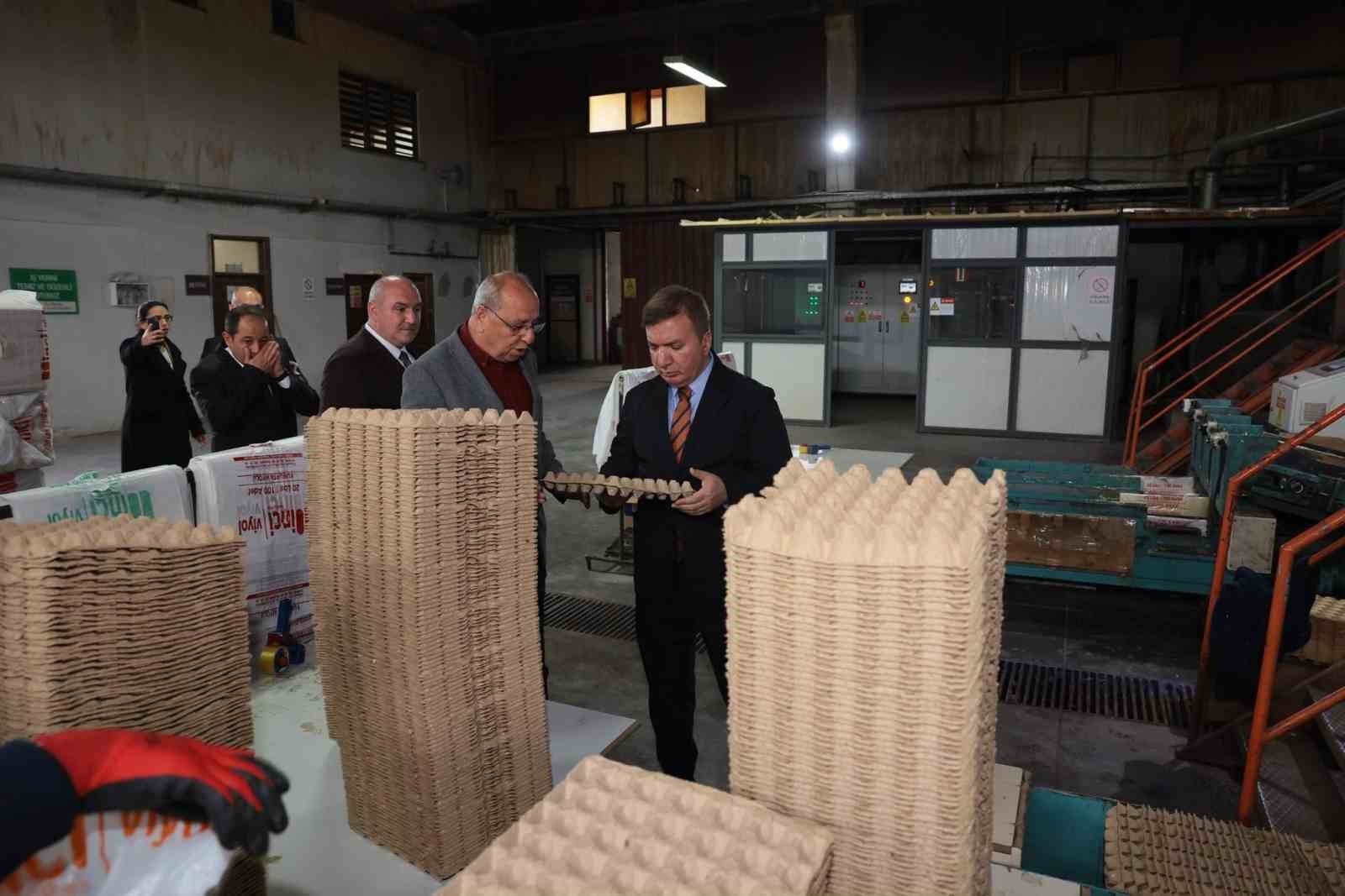 Erzincan’dan Türkiye’ye viyol üretimi
