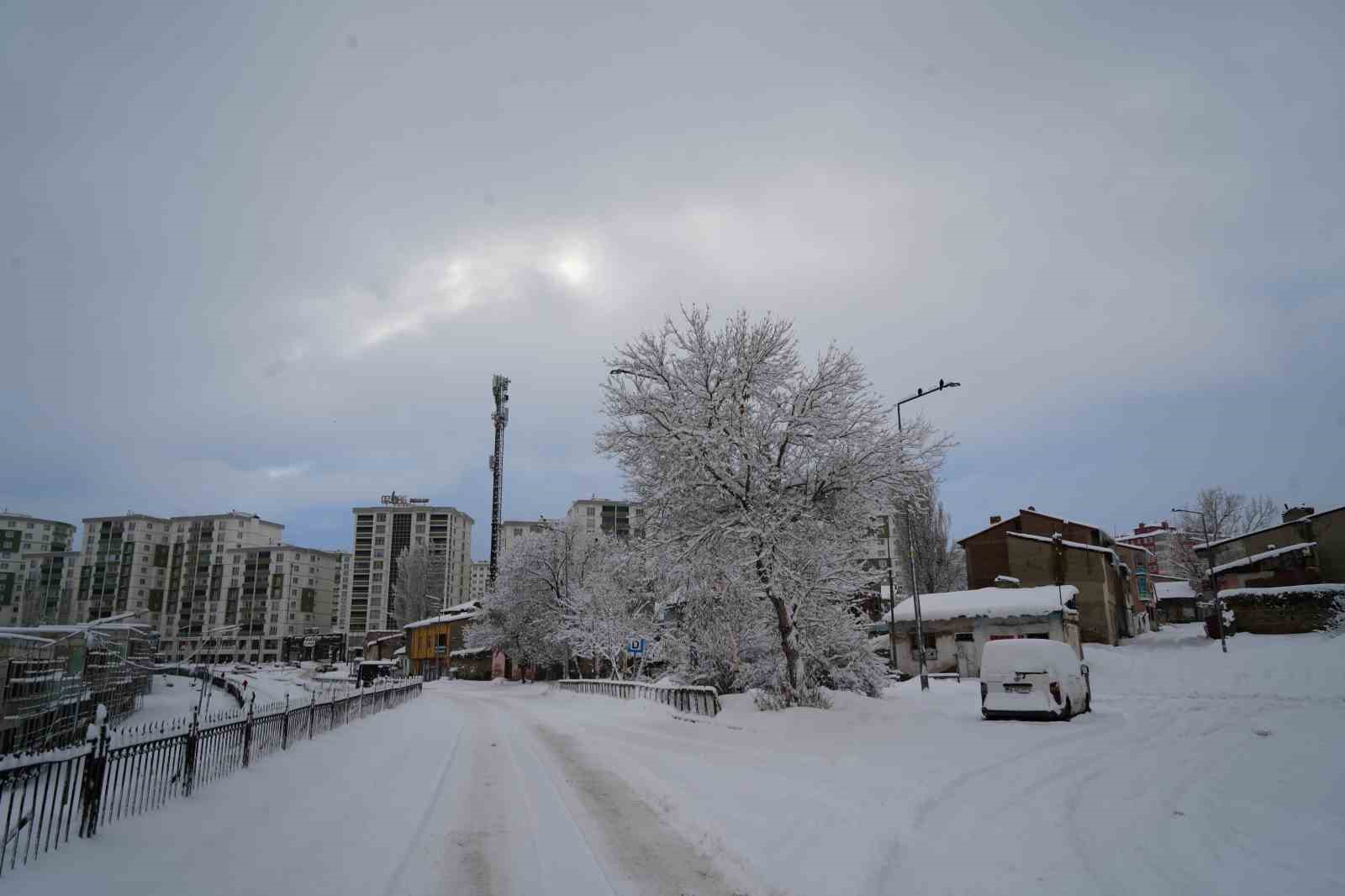 Erzurum yine beyaza büründü: 775 köy yolu ulaşıma kapandı
