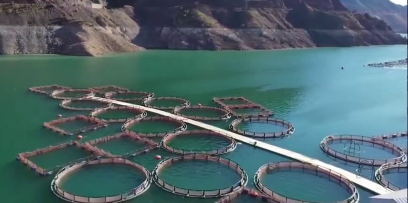 Erzurum’da 3,38 milyar destekle 5 bin 226 kişilik istihdam oluştu
Erzurum’da 3,38 milyar destekle 5 bin 226 kişilik istihdam oluştu