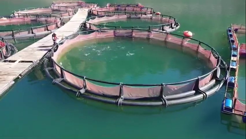 Erzurum’da 3,38 milyar destekle 5 bin 226 kişilik istihdam oluştu
Erzurum’da 3,38 milyar destekle 5 bin 226 kişilik istihdam oluştu