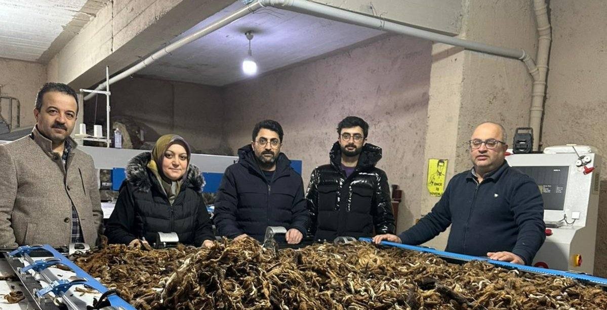 Erzurum’da atık yünler yeşil dönüşümle değer kazanıyor
