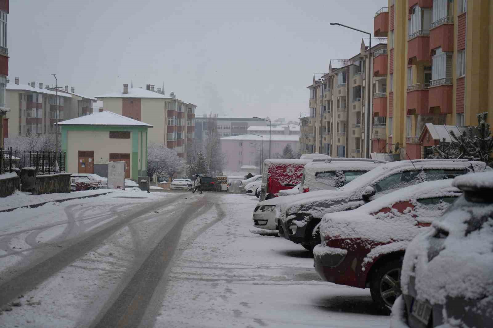 Erzurum’da kar yağışı etkili oluyor
