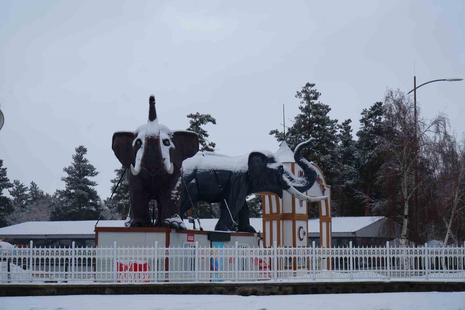 Erzurum’da kar yağışı etkili oluyor
