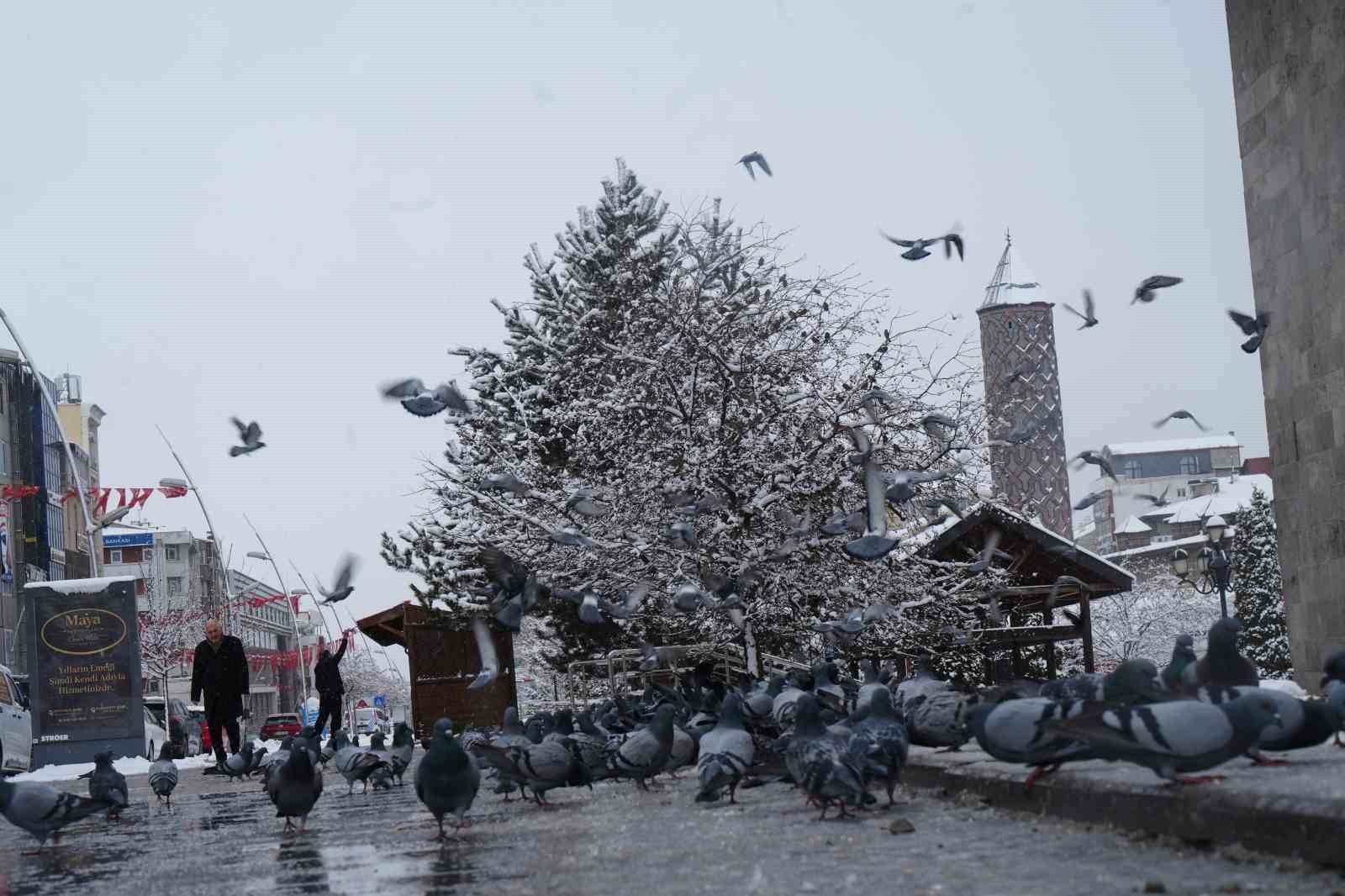 Erzurum’da kar yağışı etkili oluyor
