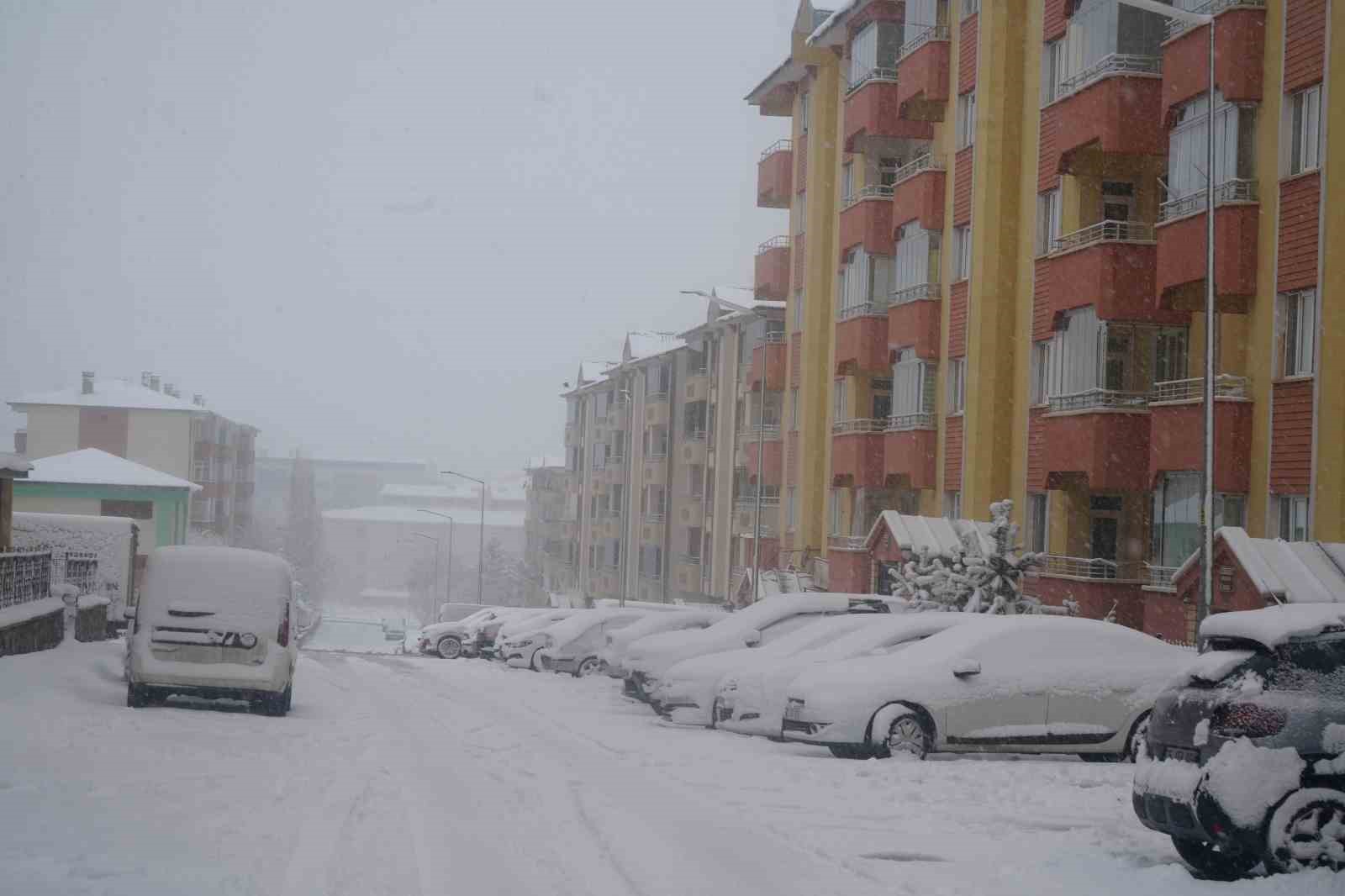 Erzurum’da kar yağışı etkili oluyor
