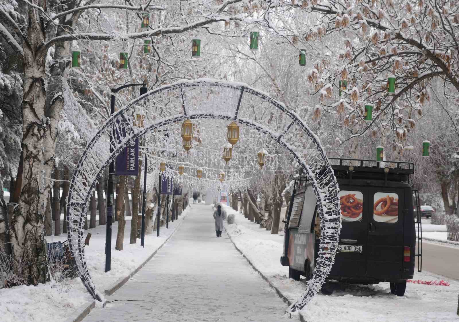 Erzurum’da soğuk havanın etkisiyle ağaçlar kırağı tuttu
