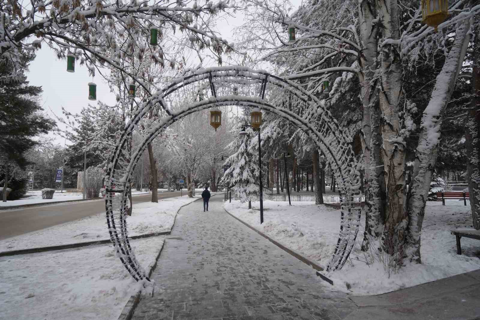 Erzurum’da soğuk havanın etkisiyle ağaçlar kırağı tuttu
