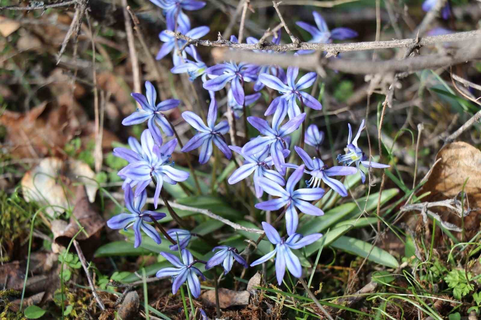 Erzurum’un bir yanı kış bir yanı bahar
