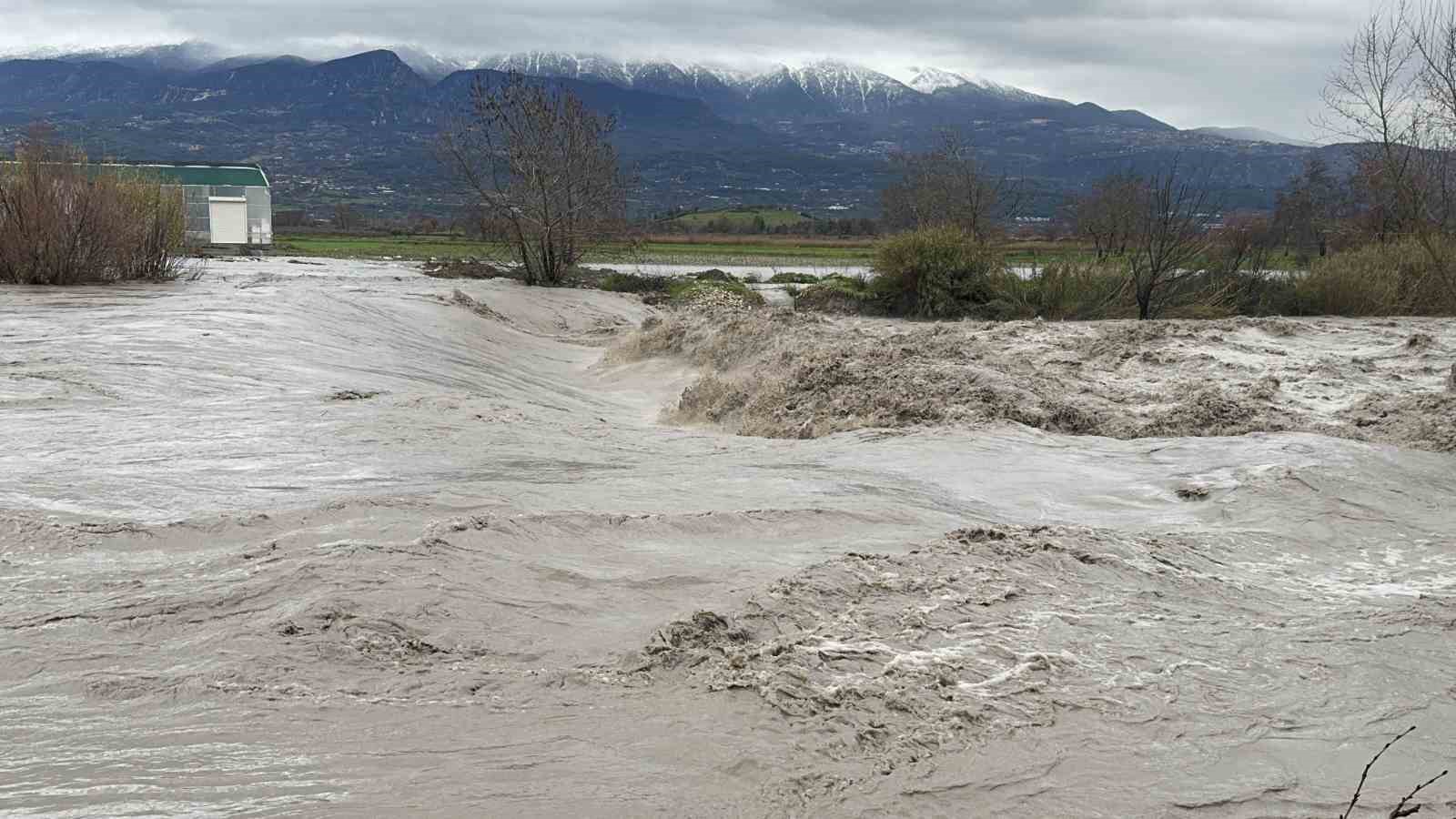 Eşen Çayı taştı, tarım arazileri ve hayvan barınağı sular altında kaldı
