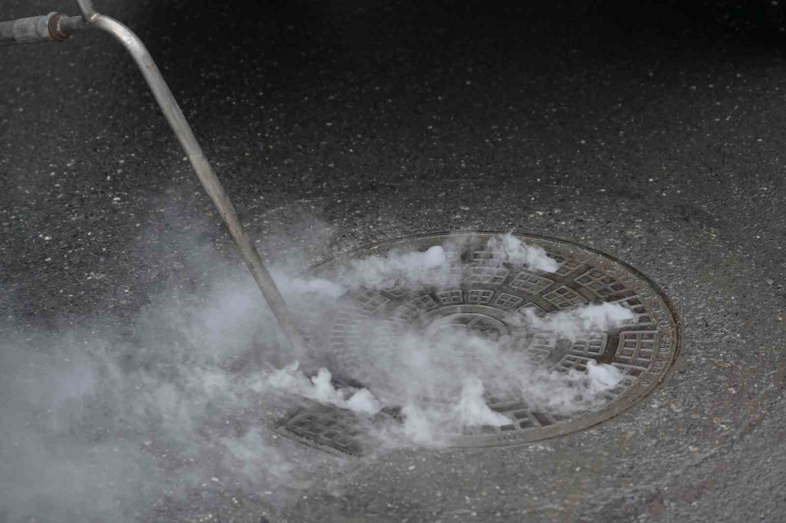 Esenyurt Belediyesi’nden haşere ve böceklere karşı yoğun mücadele
