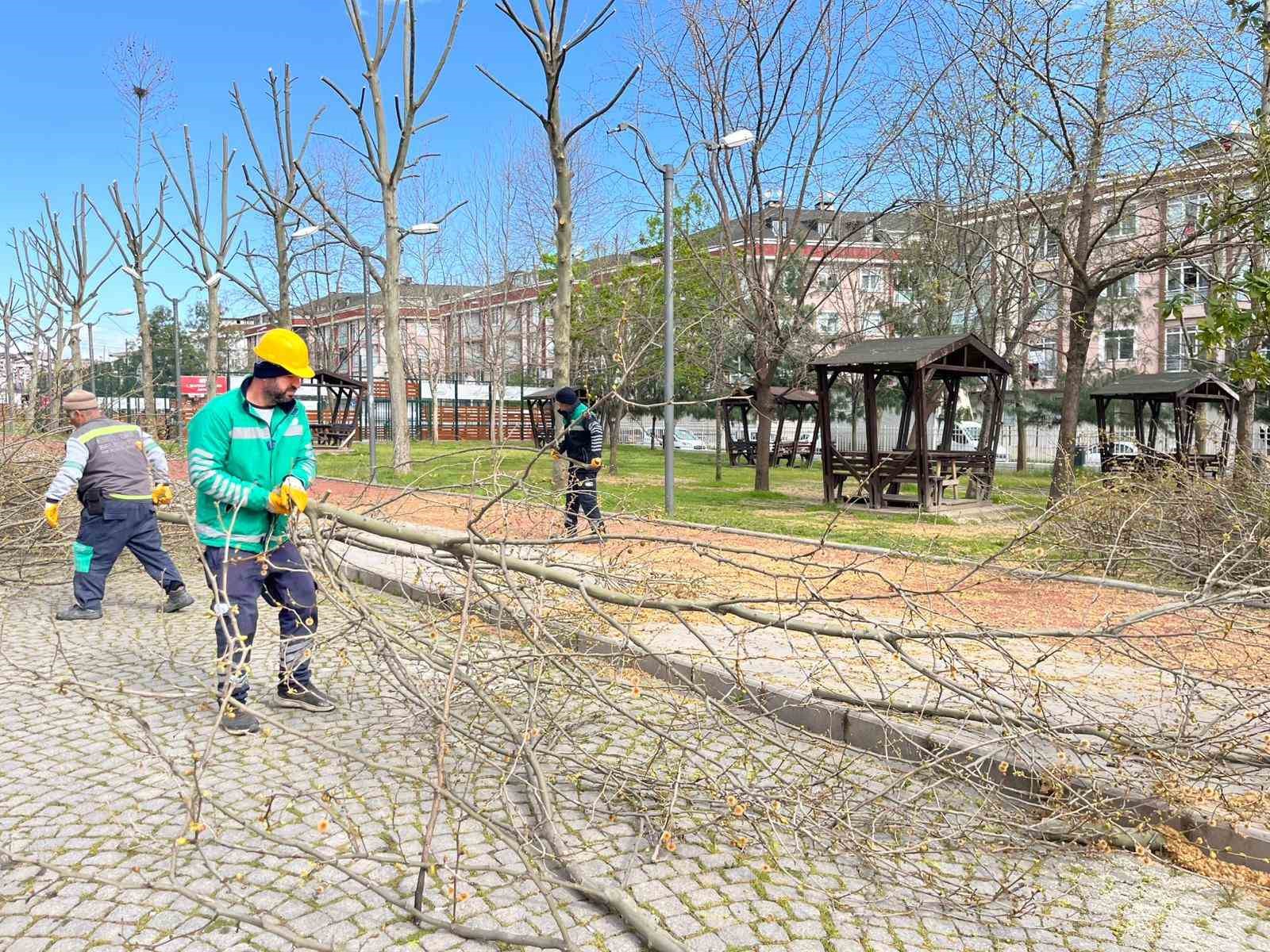 Esenyurt Belediyesi’nden yeşil alanlara bahar dokunuşu
