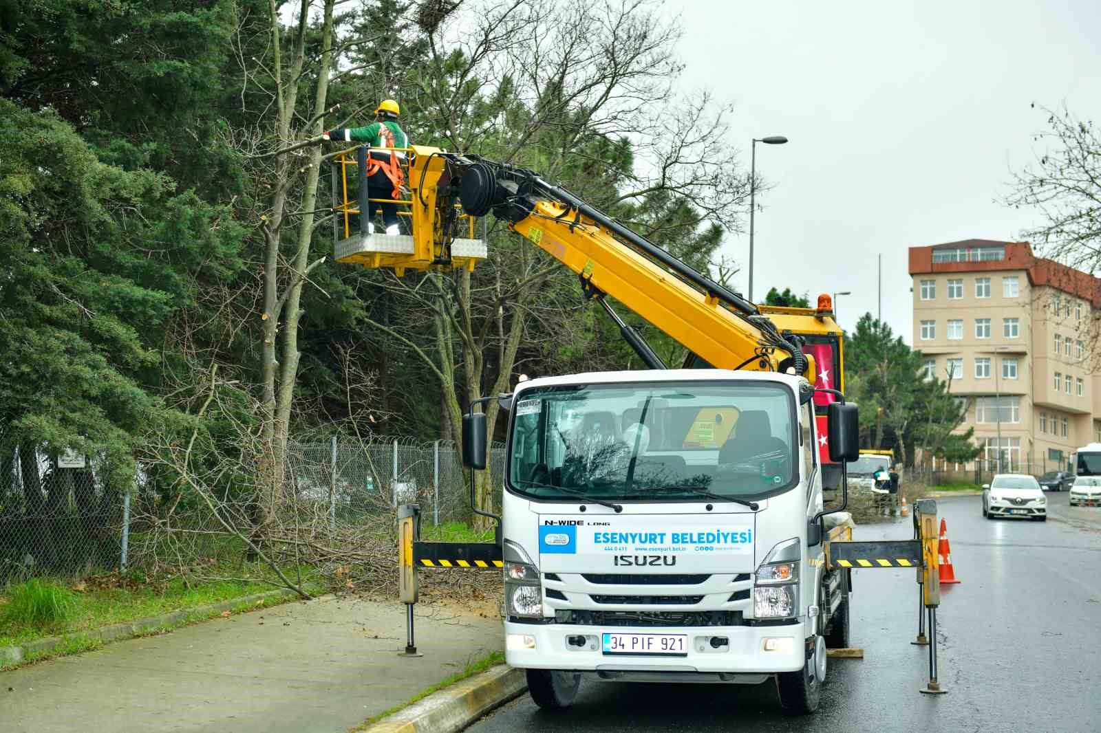 Esenyurt’ta bahar hazırlıkları başladı: Ağaçlar budanıyor
