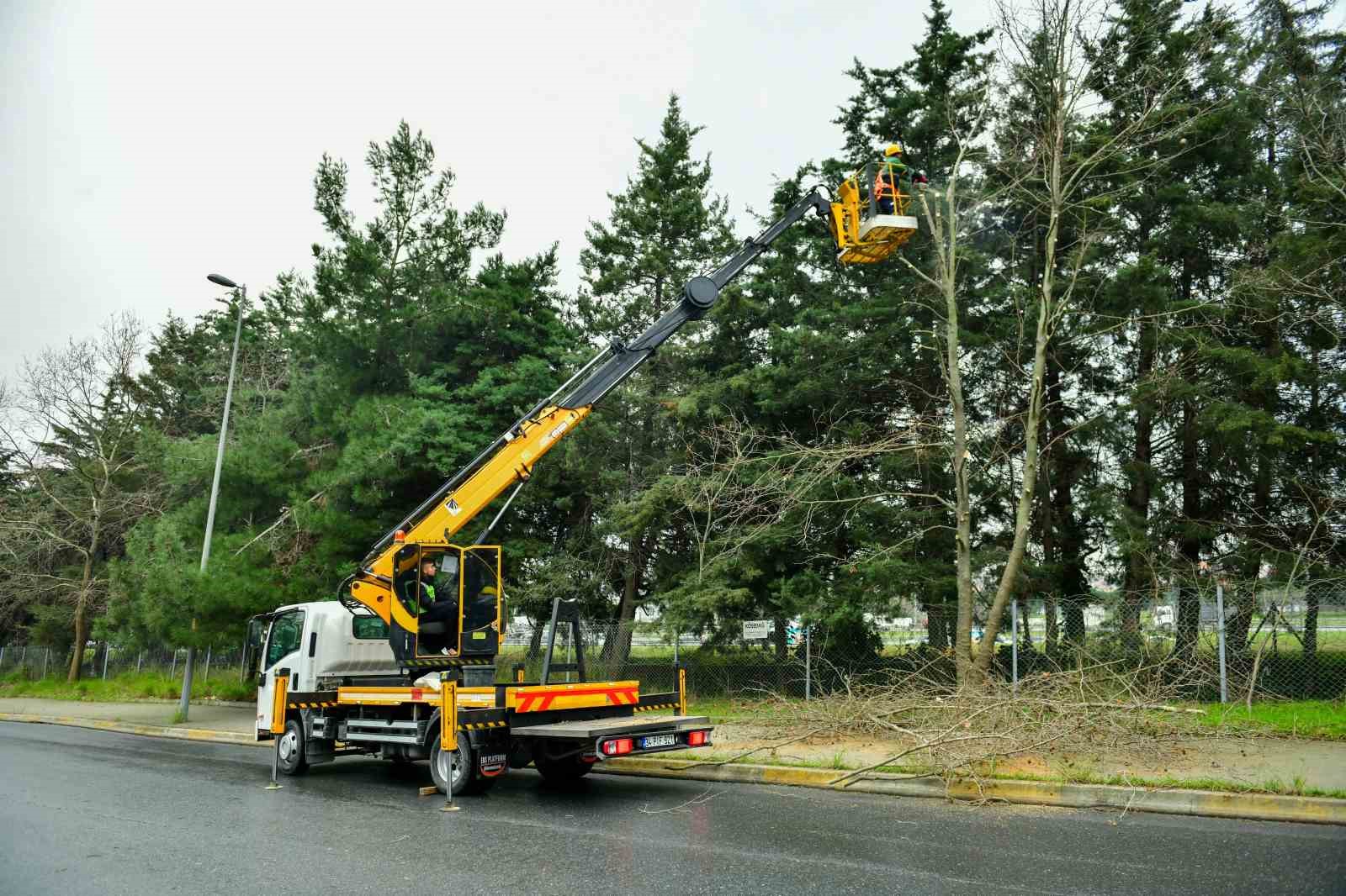 Esenyurt’ta bahar hazırlıkları başladı: Ağaçlar budanıyor
