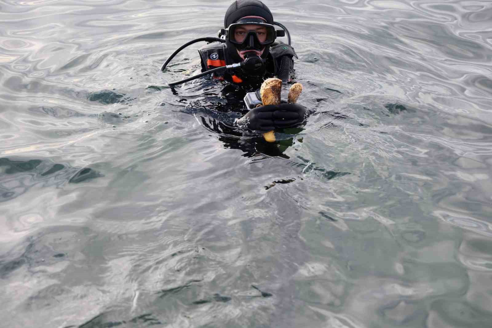 Eskihisar Sahili’nde ekosistemi canlandıracak dip temizliği yapıldı
