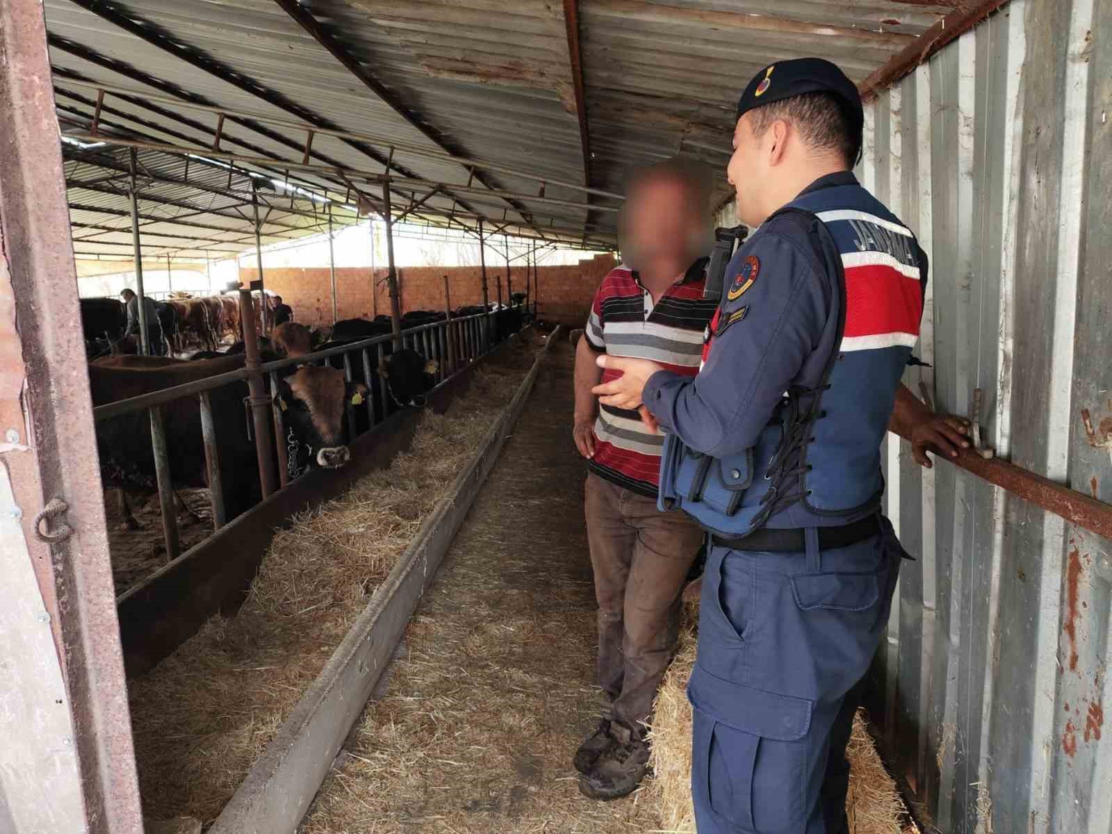 Eskişehir’de 1 milyon 940 bin TL sahte parayla 22 adet büyükbaş satın alan şüpheliler yakalandı
