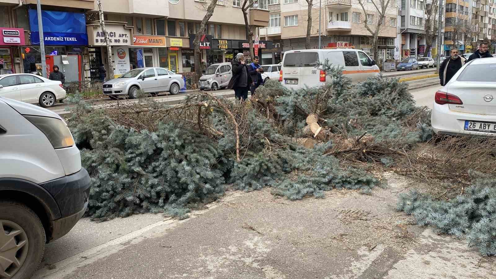 Eskişehir’de fırtına sebebiyle ağaçlar devrildi
Eskişehir’de fırtına sebebiyle ağaçlar devrildi
