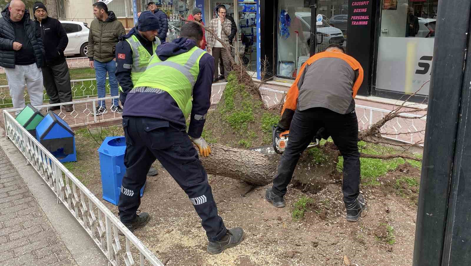 Eskişehir’de fırtına sebebiyle ağaçlar devrildi
Eskişehir’de fırtına sebebiyle ağaçlar devrildi