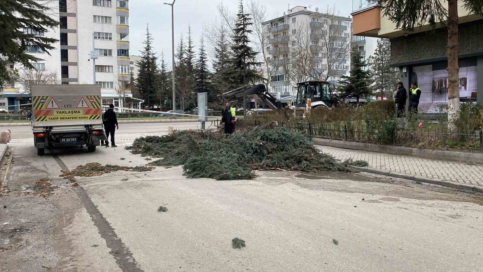 Eskişehir’de fırtına sebebiyle ağaçlar devrildi
Eskişehir’de fırtına sebebiyle ağaçlar devrildi