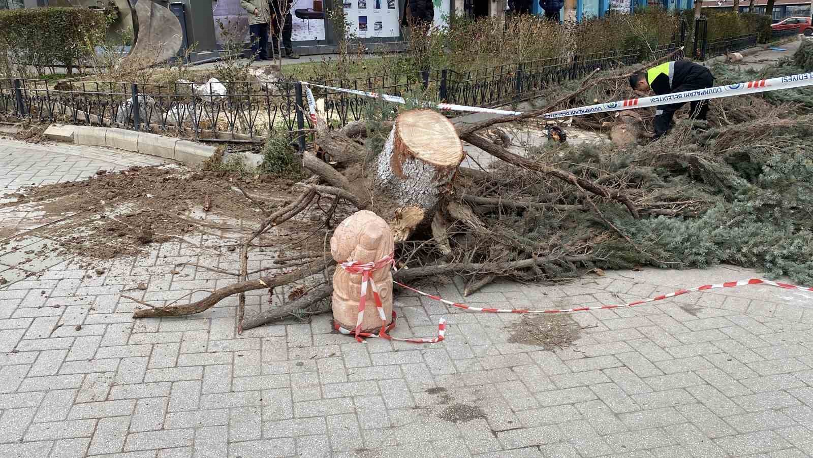 Eskişehir’de fırtına sebebiyle ağaçlar devrildi
Eskişehir’de fırtına sebebiyle ağaçlar devrildi