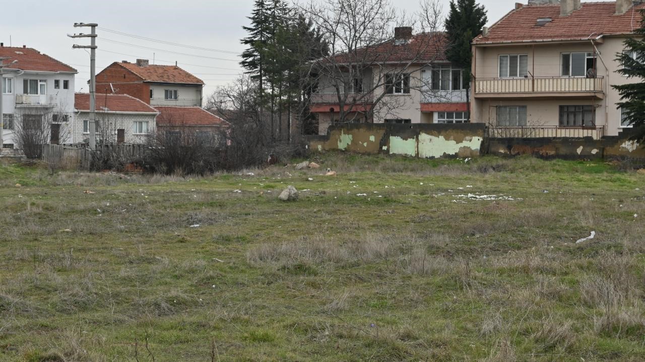 Eskişehir’de toplanmayan başıboş köpekler tedirgin ediyor
