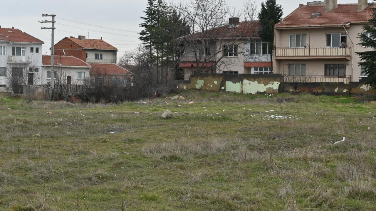 Eskişehir’de toplanmayan başıboş köpekler tedirgin ediyor
