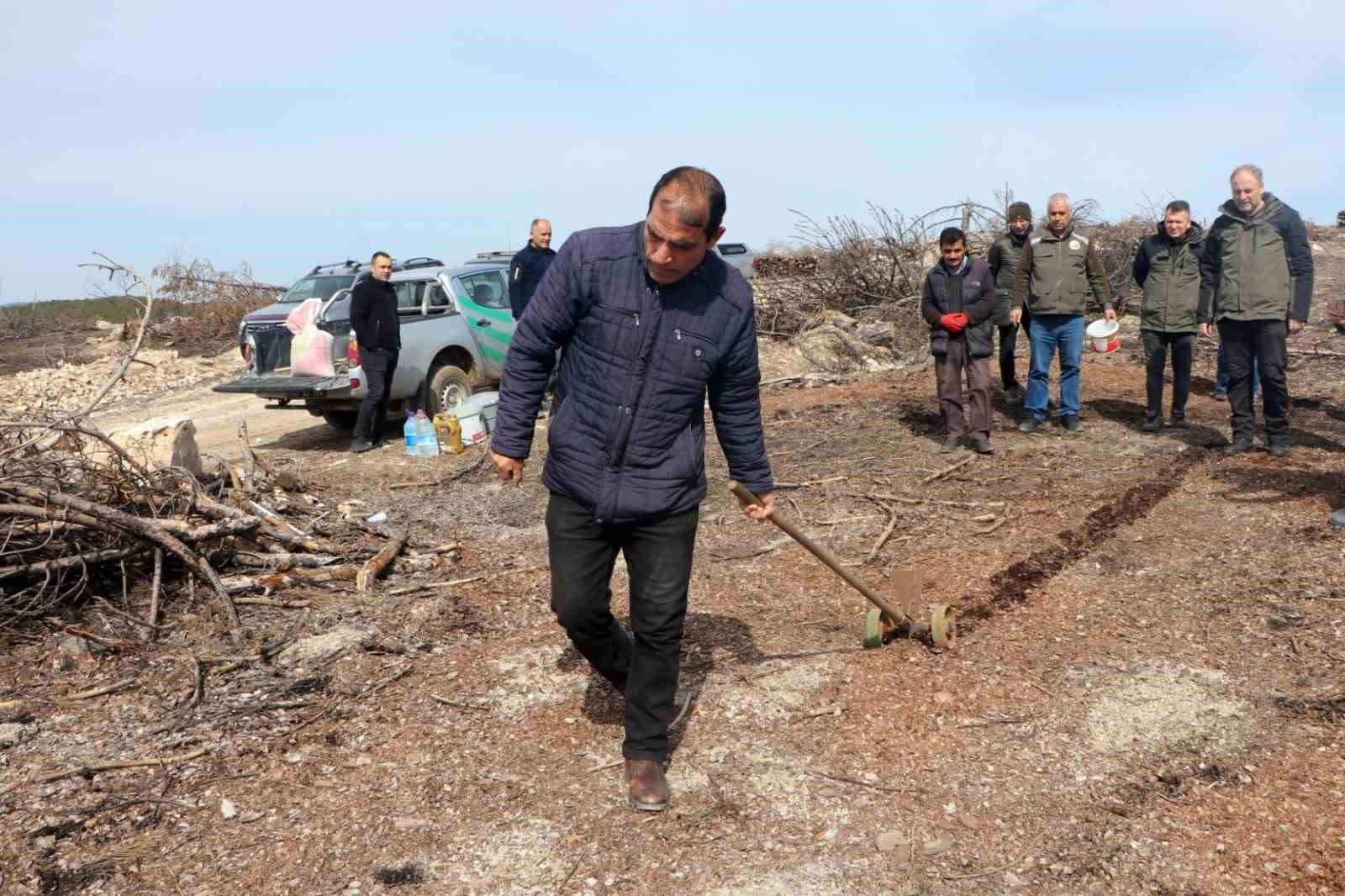 Eskişehir’de yangın sonrası ağaçlandırma çalışmaları başladı
