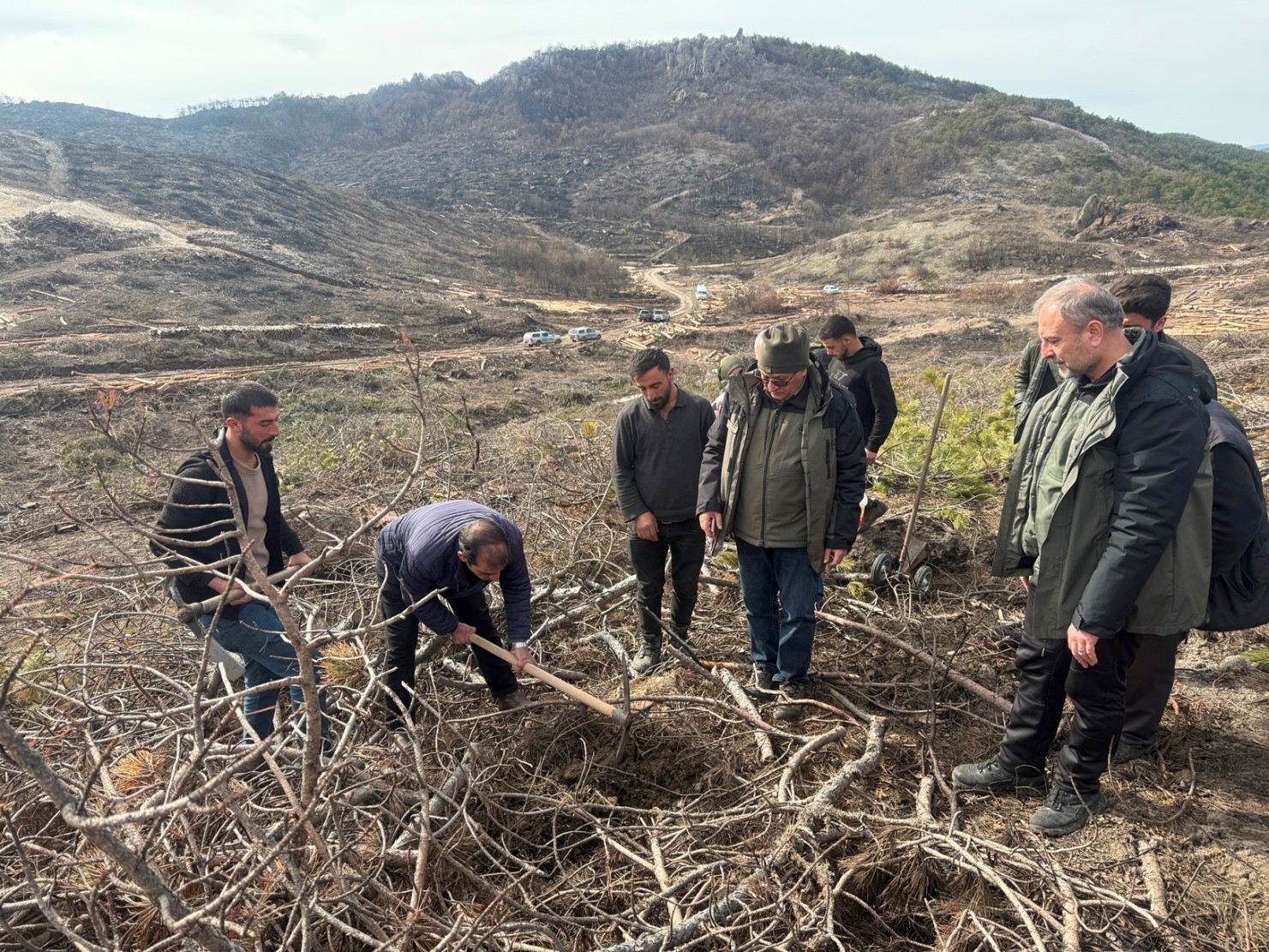 Eskişehir’de yangın sonrası ağaçlandırma çalışmaları başladı
