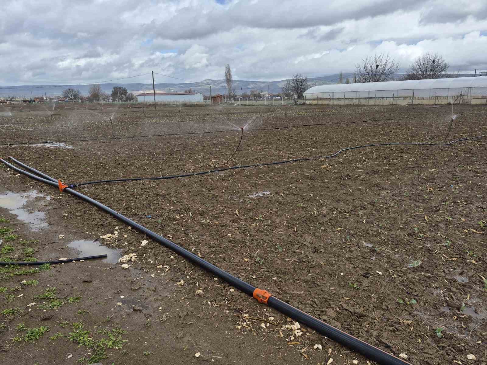 Eskişehir’de yılın ilk tohum ve fideleri toprakla buluştu
