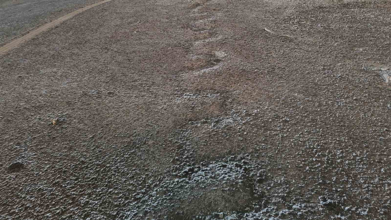 Eskişehir’deki köyde ilginç arazi sıkıntısı
