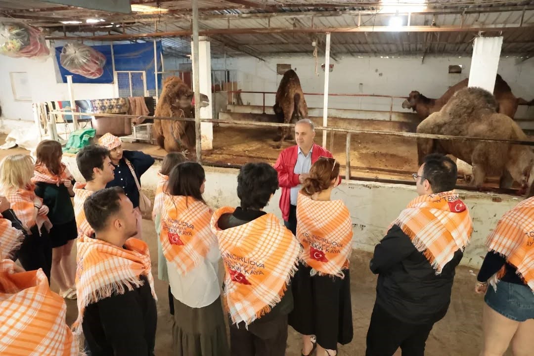 Estonyalı öğrenciler deve çiftliğini gezdi
