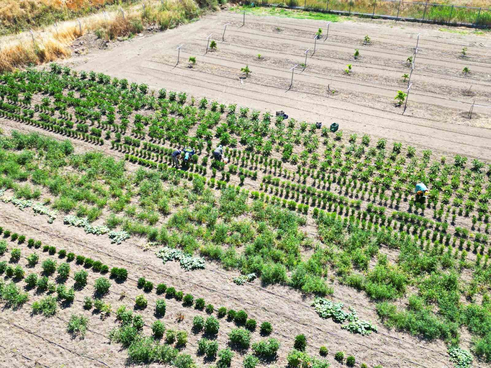 Eti Alüminyum 2025’te katma değerli üretime odaklandı
