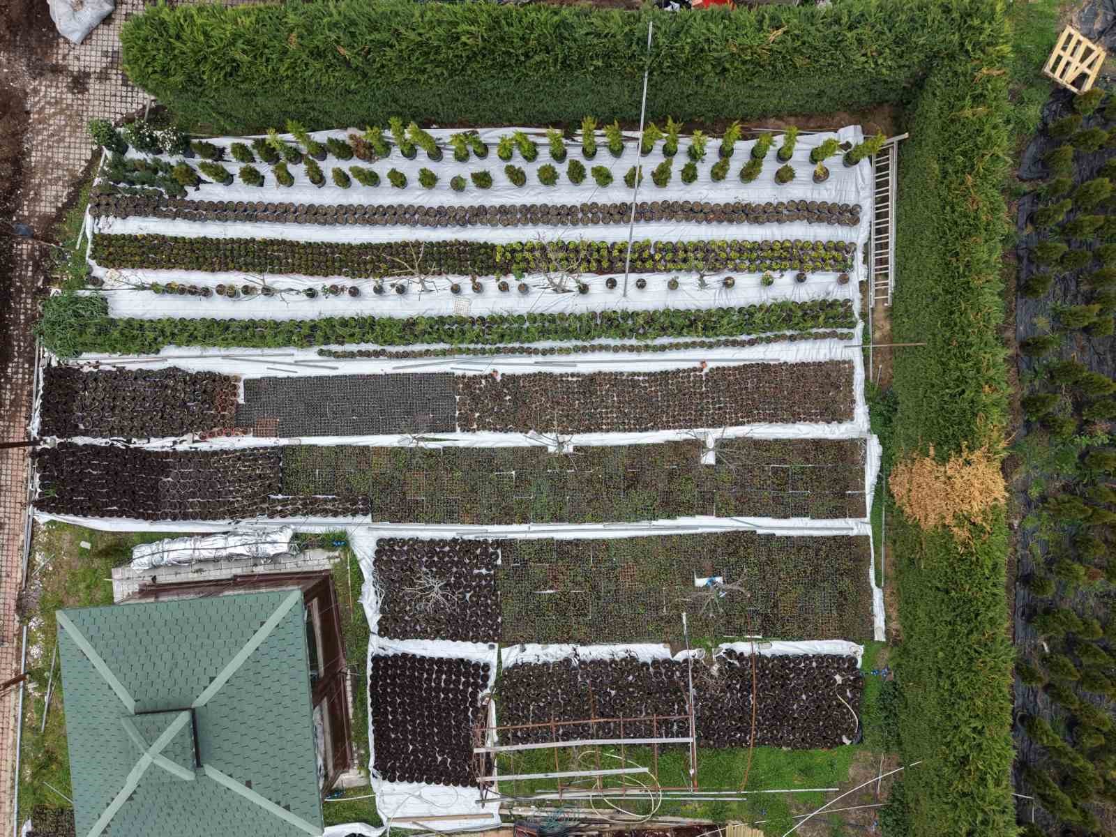 Ev hanımı kendi işinin patronu oldu
Ev hanımı kendi işinin patronu oldu