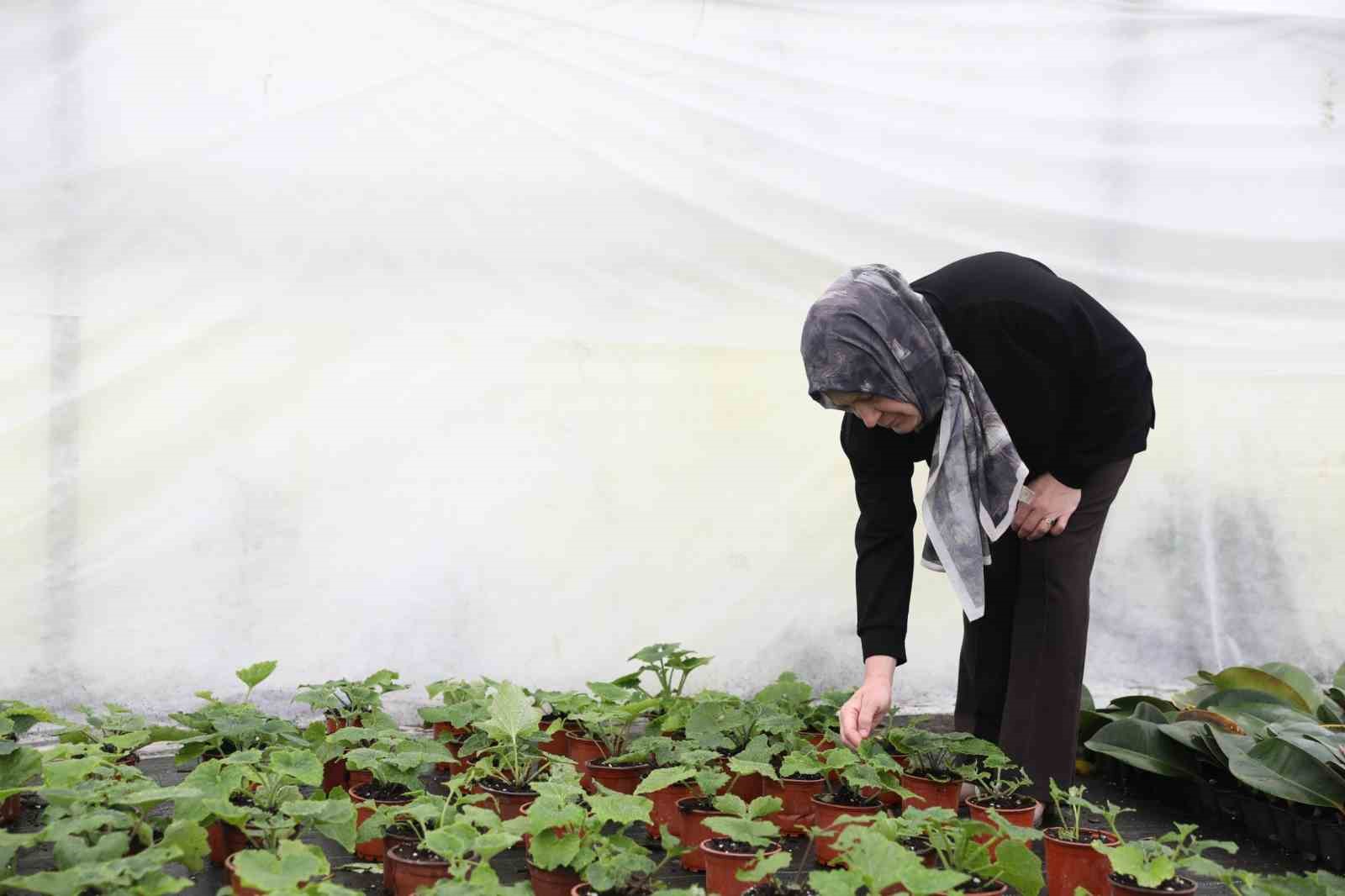 Ev hanımı kendi işinin patronu oldu
Ev hanımı kendi işinin patronu oldu