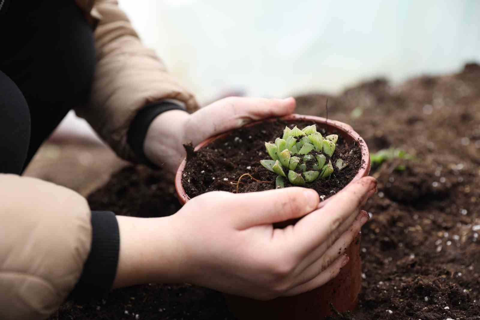 Ev hanımı kendi işinin patronu oldu
Ev hanımı kendi işinin patronu oldu