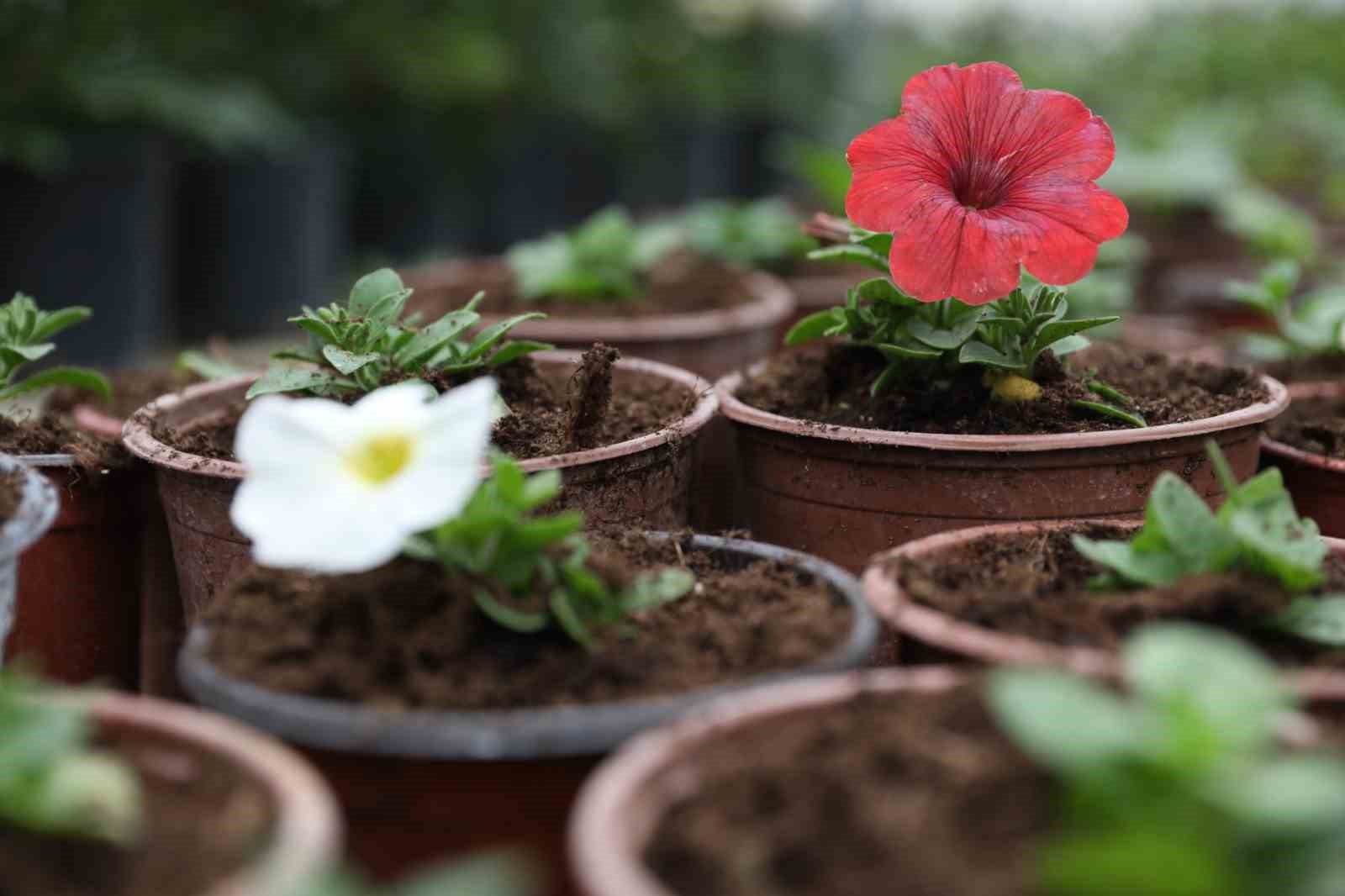 Ev hanımı kendi işinin patronu oldu
Ev hanımı kendi işinin patronu oldu