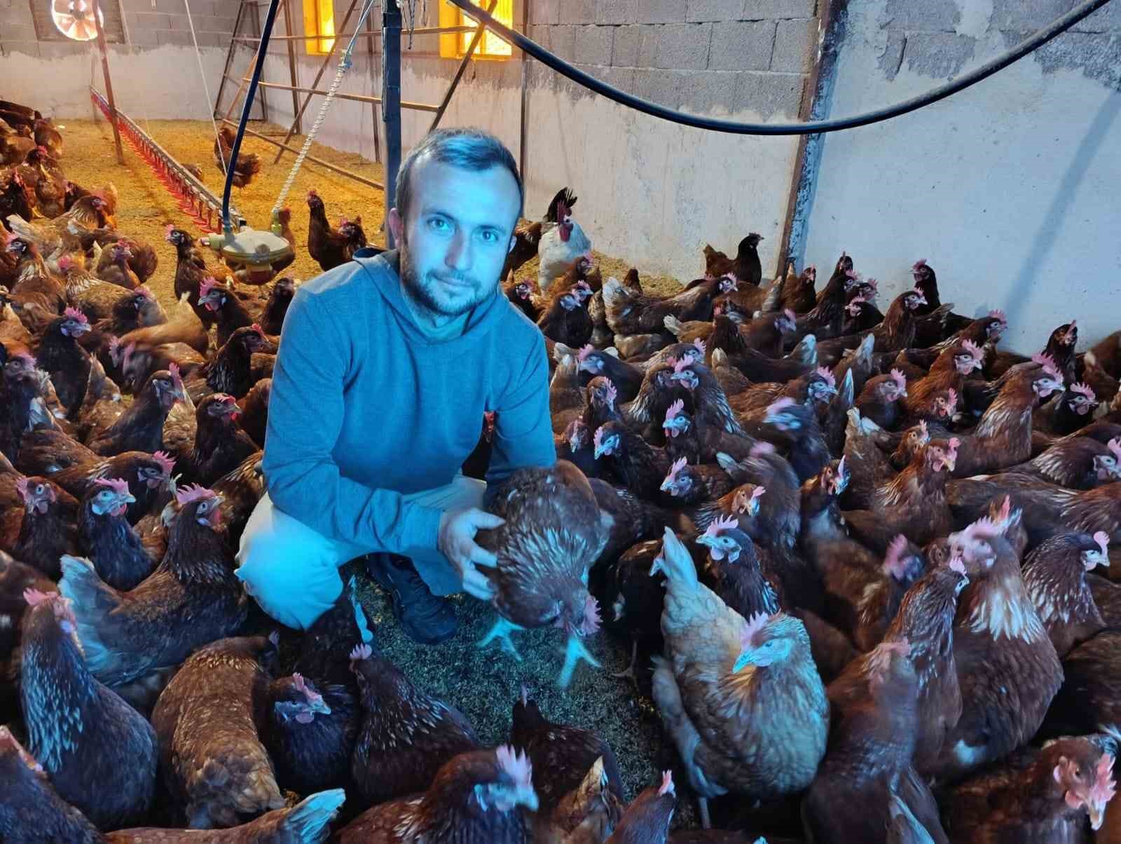 Ev kiraları şehirden kaçırdı, köyde "gezen tavuk" çiftliği kurdu
